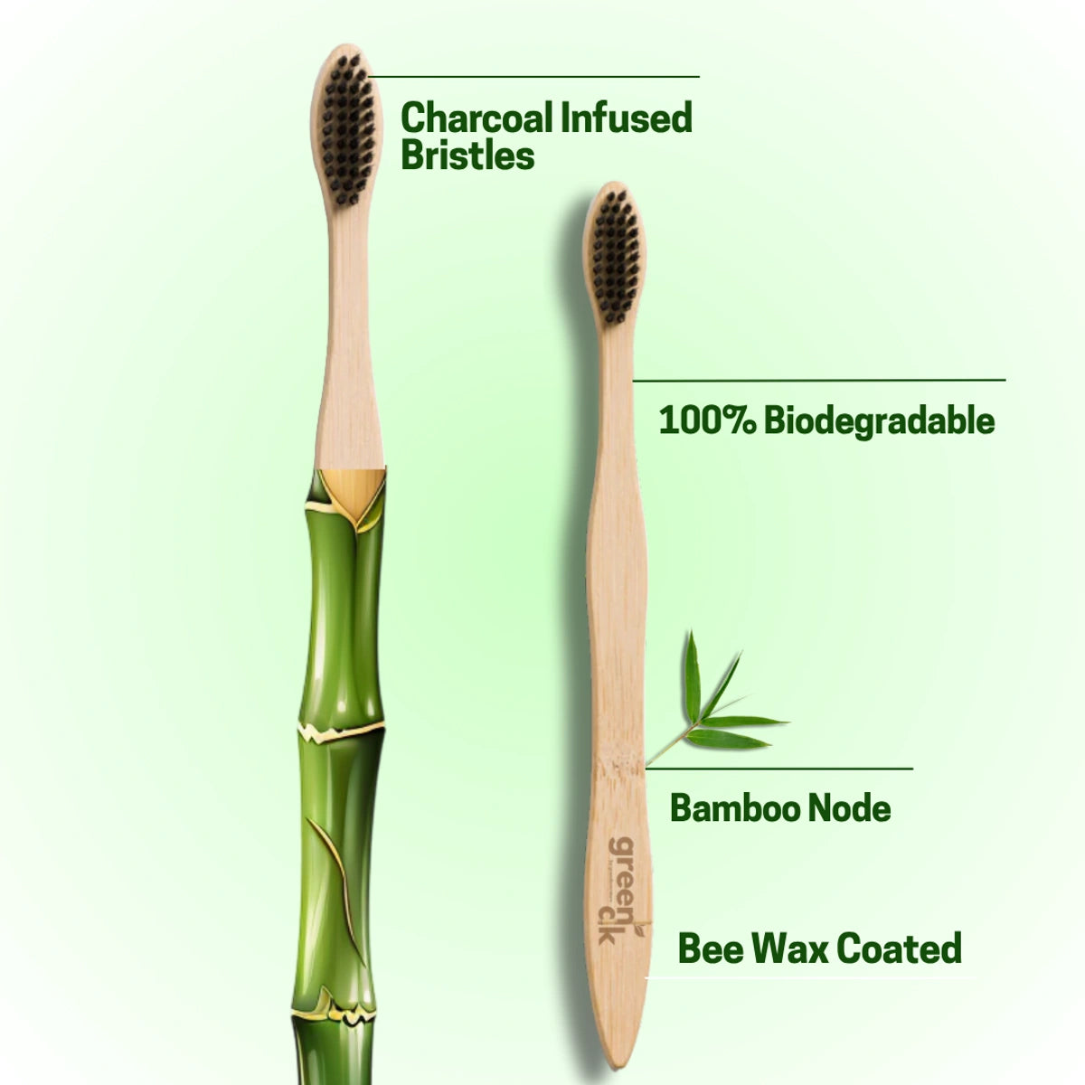 Oral Care