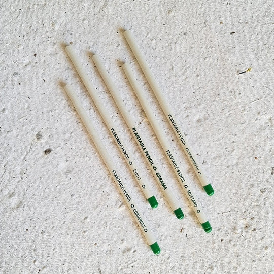 News Paper Seed Pencil Pack Of 5
