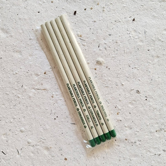 News Paper Seed Pencil Pack Of 5