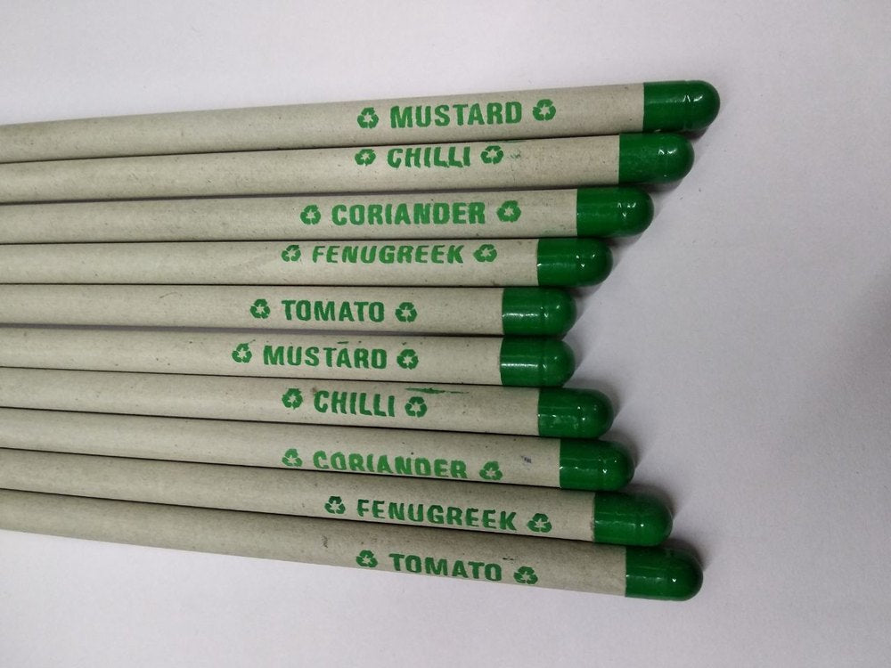 Recycled Newspaper Seed Paper pencil pack of 10