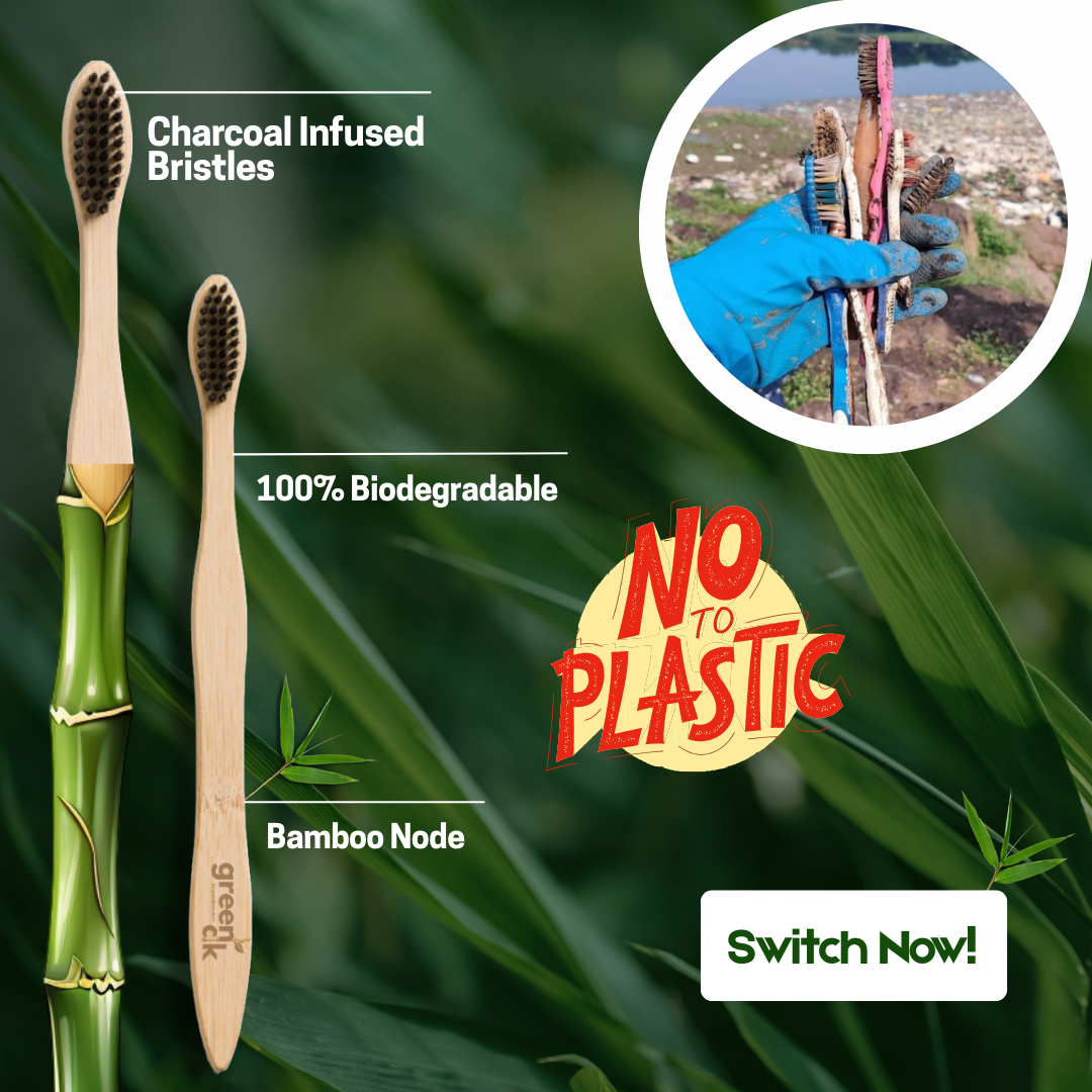 Greenak Organic bamboo tooth brush with charcoal infused bristles (BPA free nylon bristles)