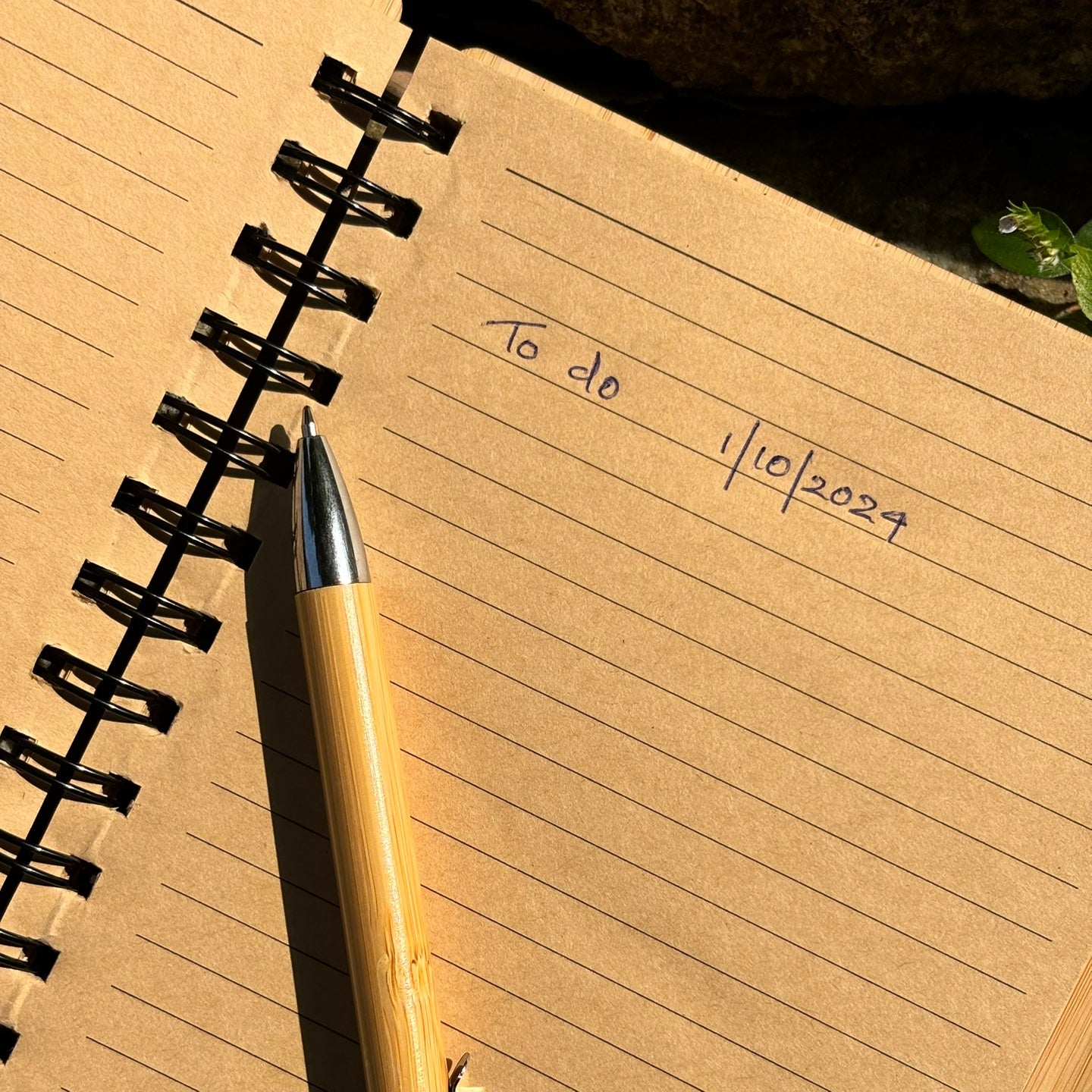 Bamboo Diary With Bamboo Pen ( 250 Pages )