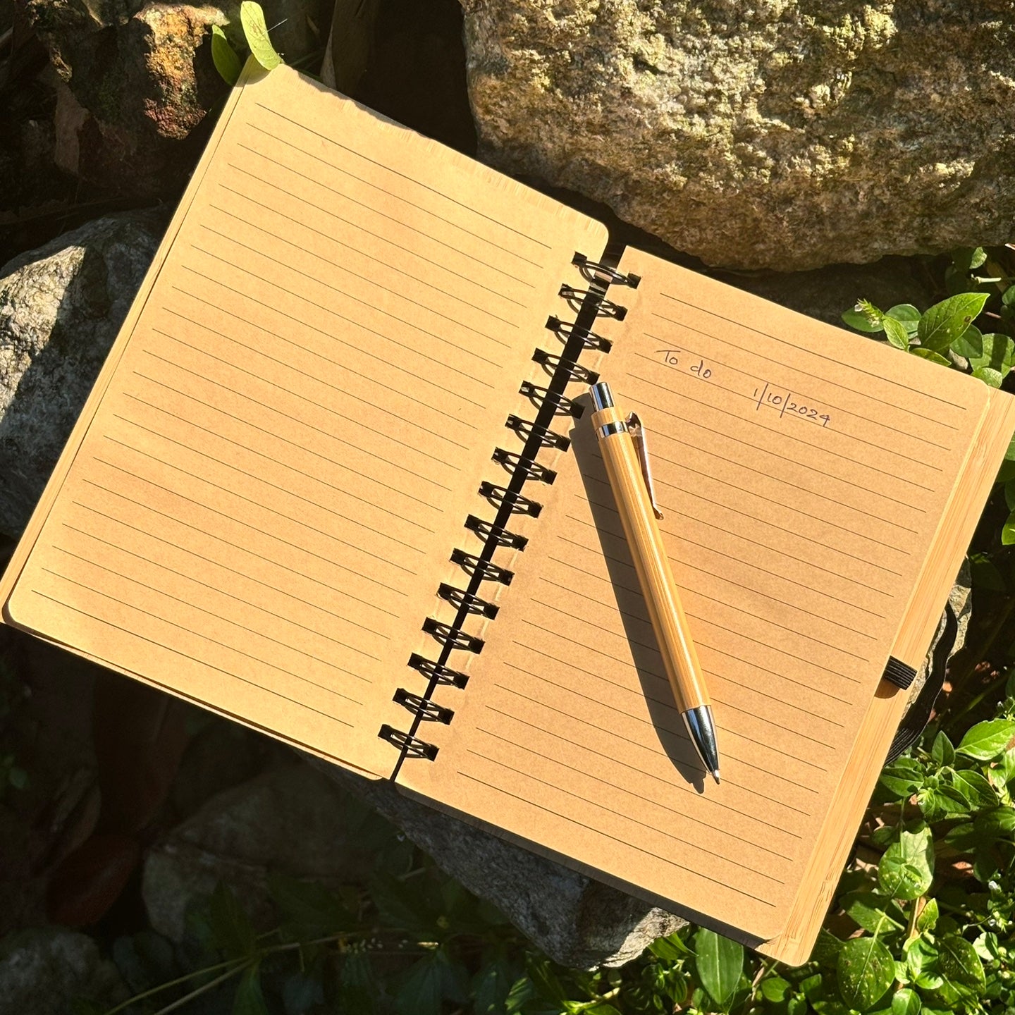 Bamboo Diary With Bamboo Pen ( 250 Pages )